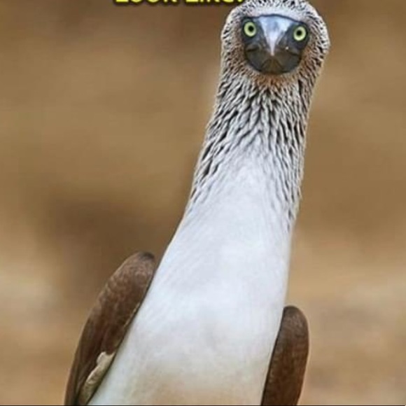 Meet your Posher, Jaime - Picture 1 of 1